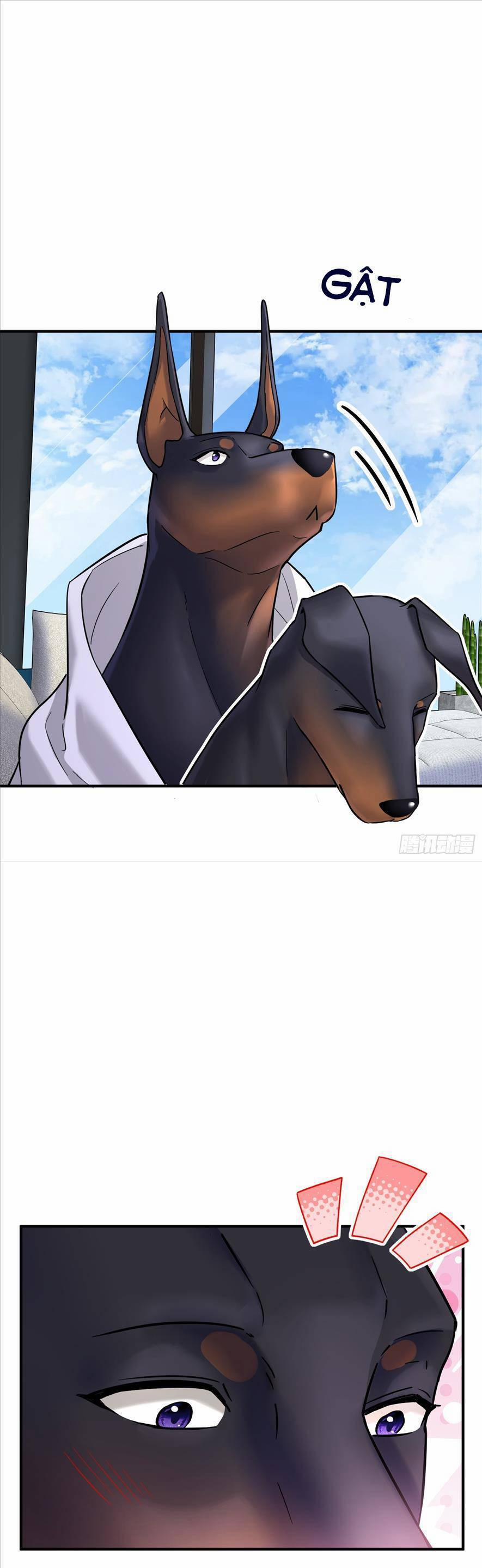 Tên Đàn Ông Này Thật Sự Là Một Tên Cẩu Mà 5 trang 24