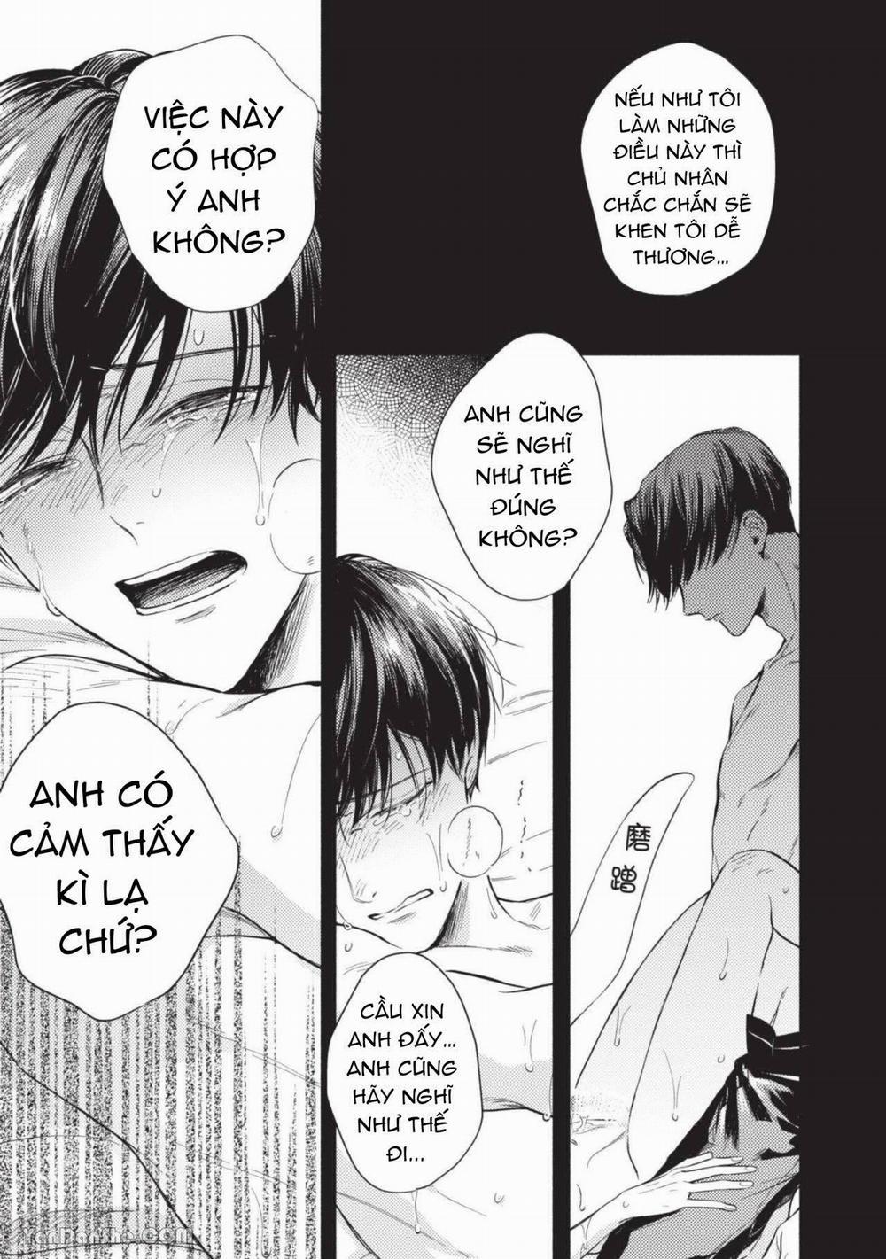 Tên Ngốc Nhảy Múa Và Kẻ Ngoại Đạo Mục Rữa 3.2 trang 6