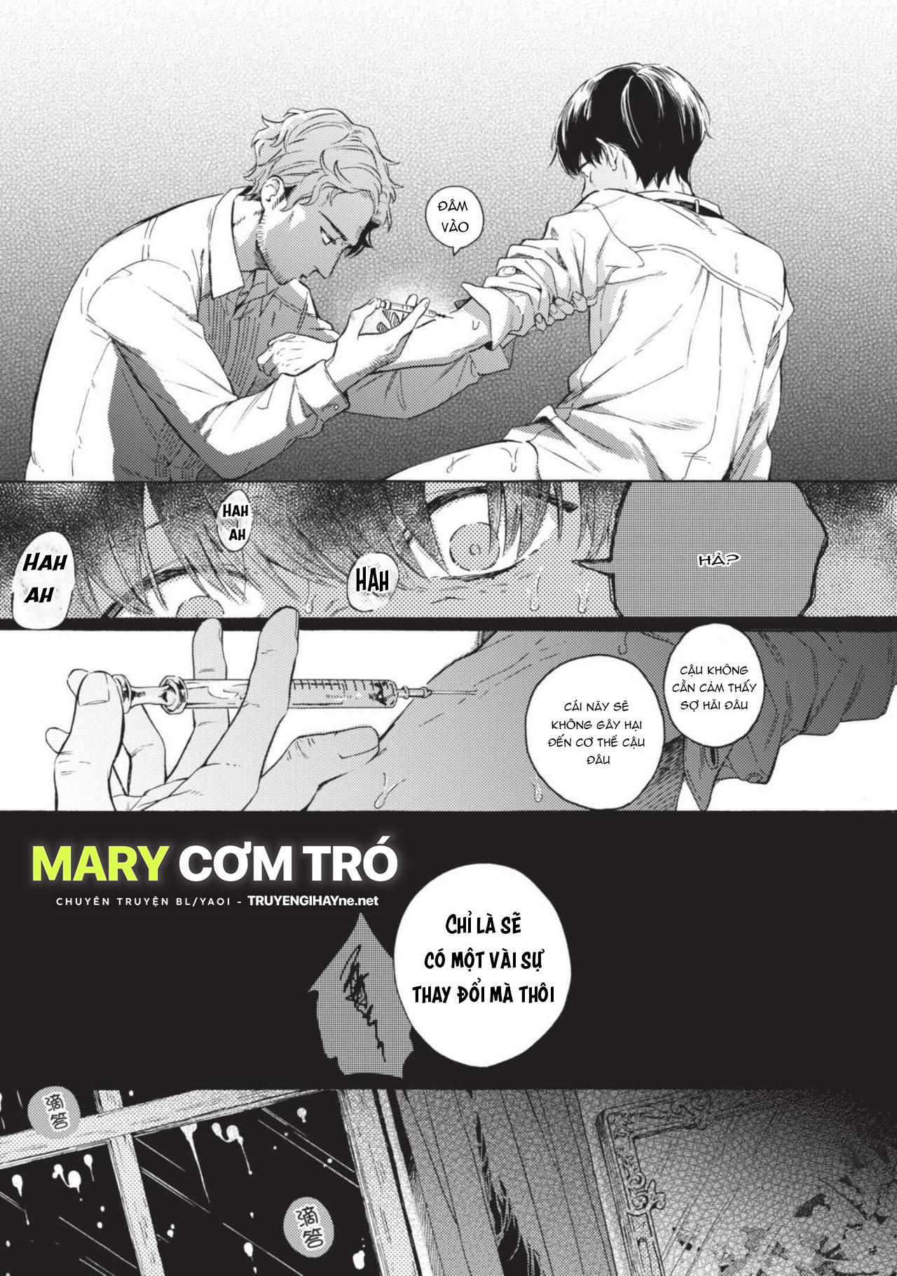 Tên Ngốc Nhảy Múa Và Kẻ Ngoại Đạo Mục Rữa 3 trang 4