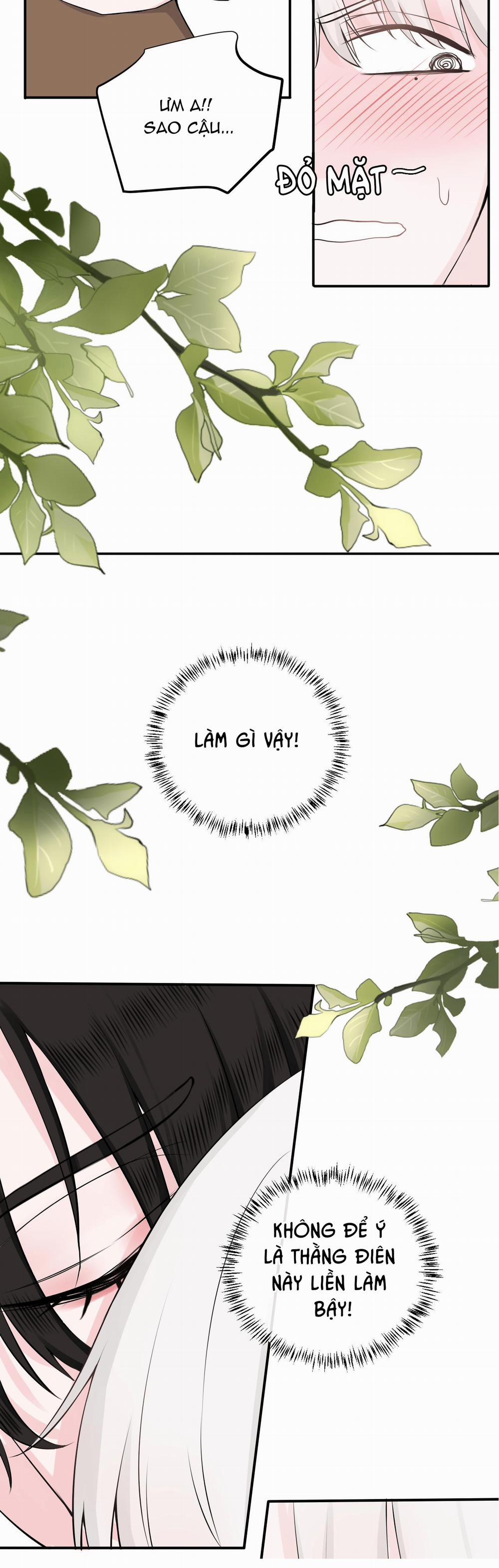 Tên Vệ Sĩ Ngạo Kiều 25 trang 4