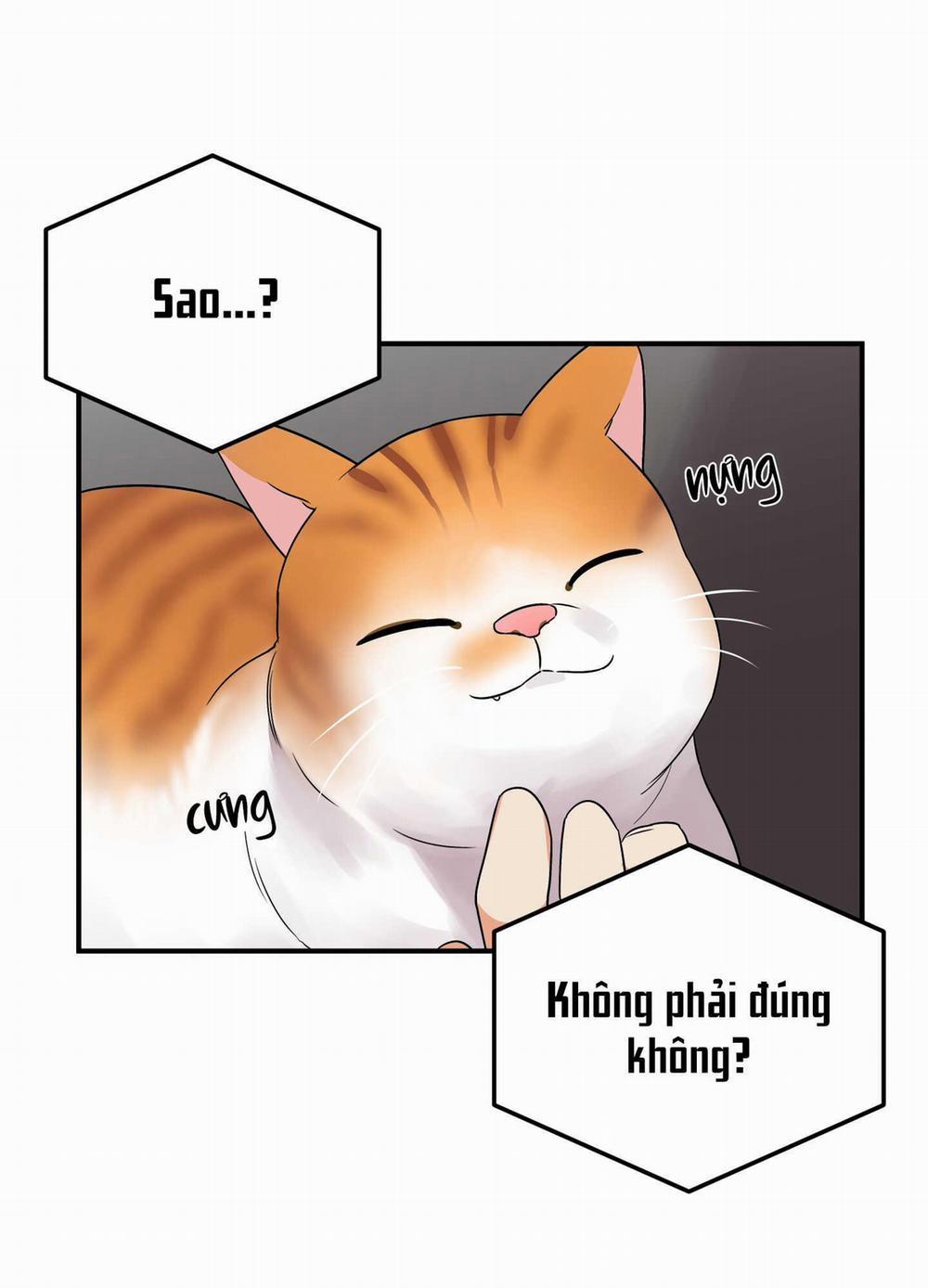 Tên Xấu Xa Của Tôi Xxx 29 trang 16