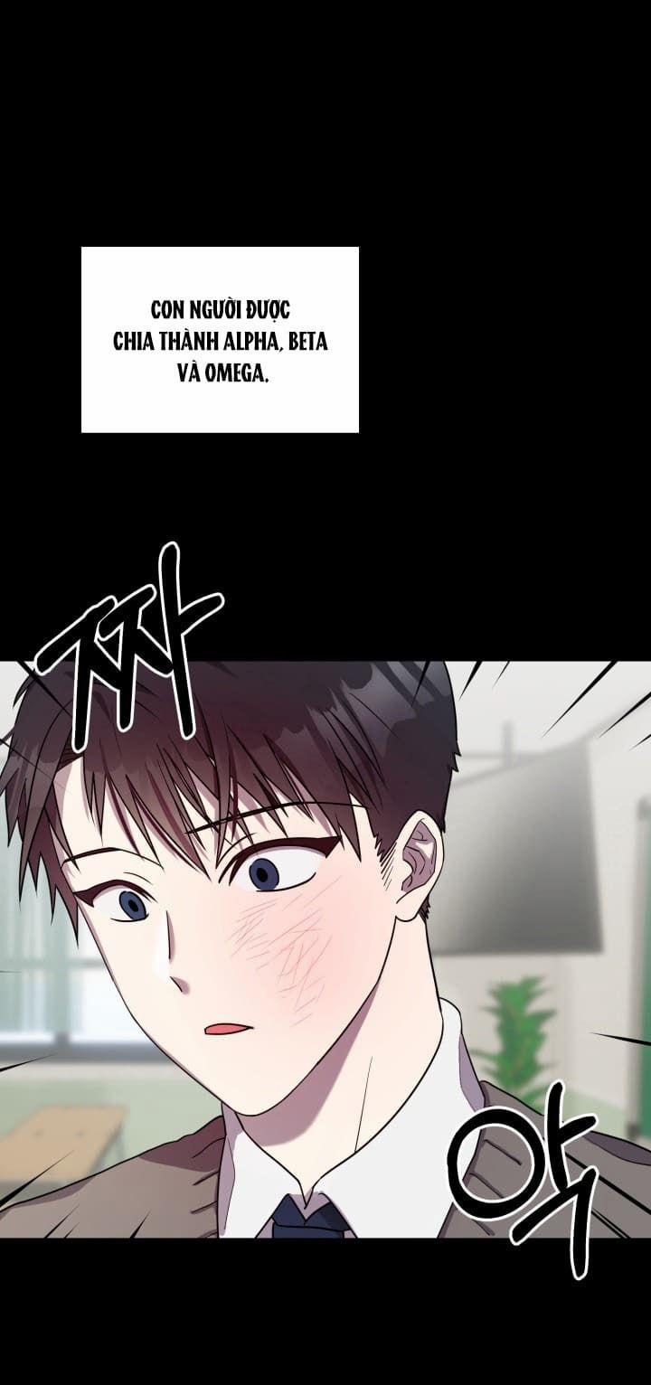 Thà Chết Còn Hơn Ngủ Cùng Cậu 1 trang 0