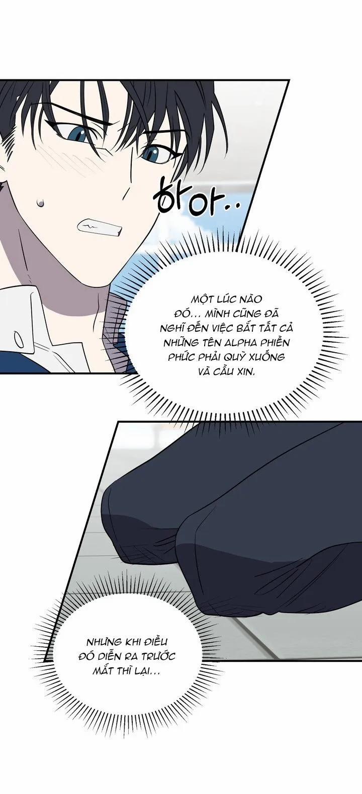 Thà Chết Còn Hơn Ngủ Cùng Cậu 10 trang 11