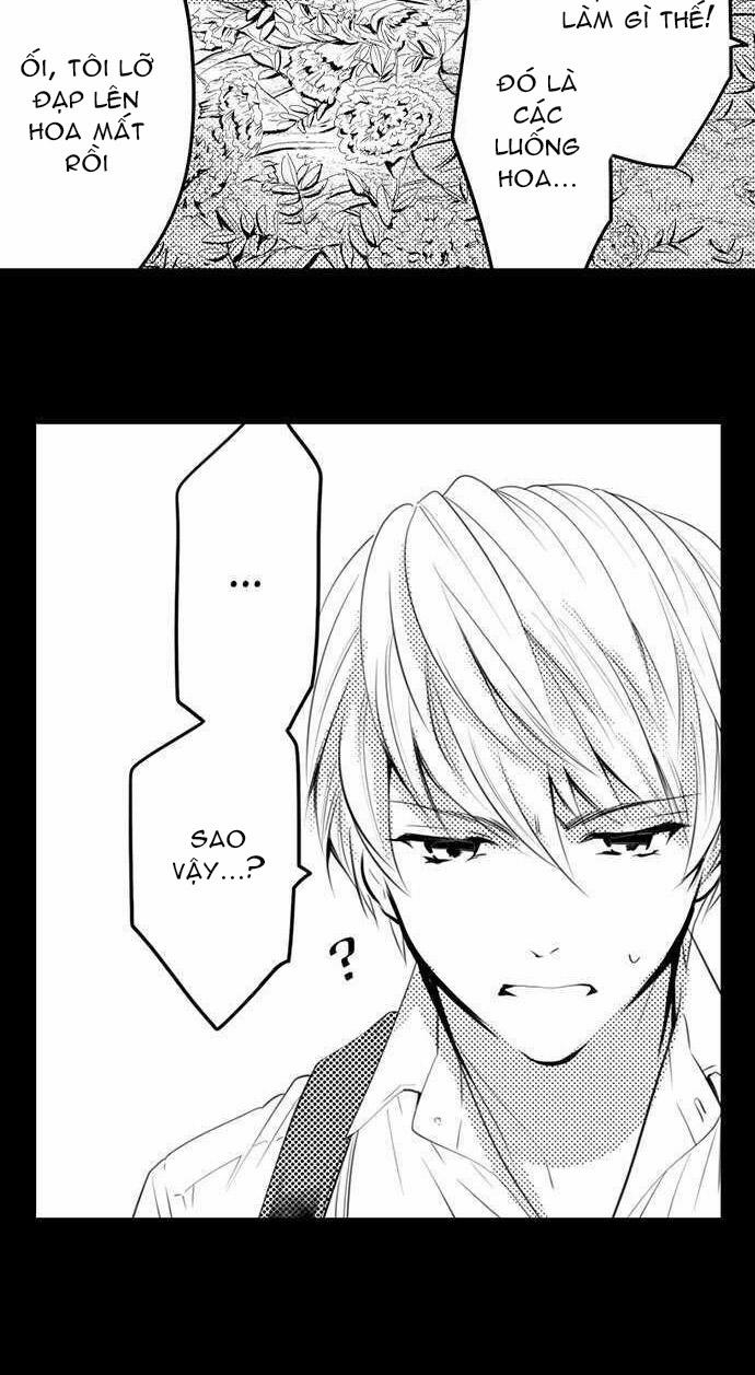 Thả Thính Chàng Gấu Nhà Tôi 39.2 trang 11