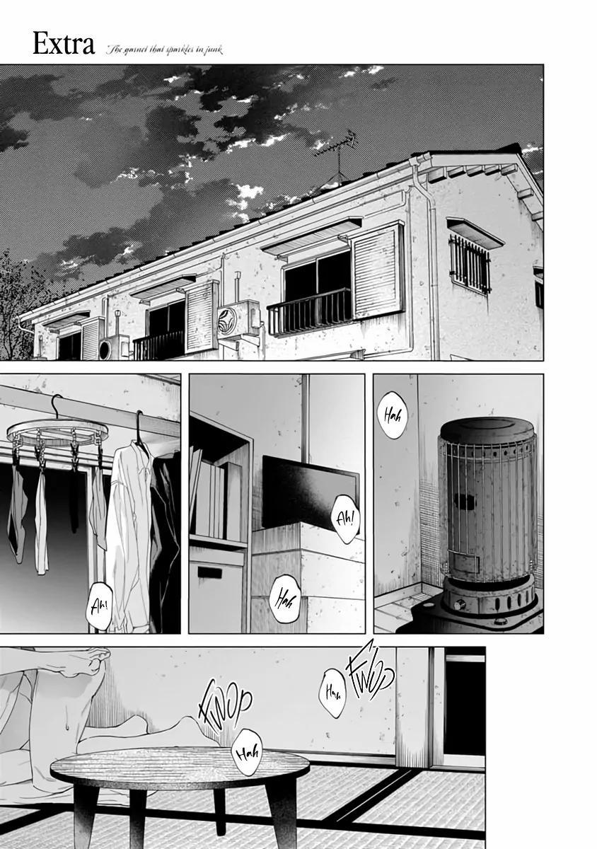 Thạch lựu lấp lánh trong bãi rác 6.5 trang 1