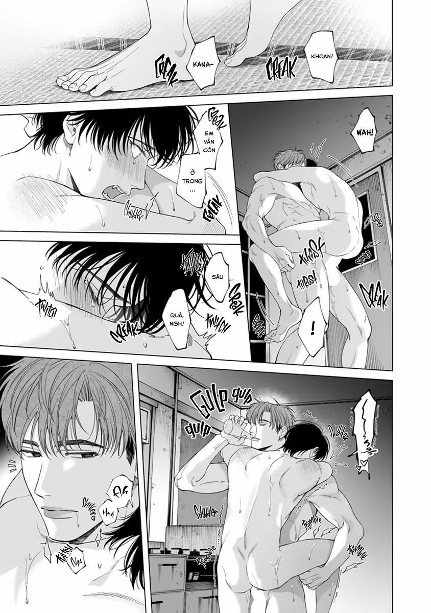 Thạch lựu lấp lánh trong bãi rác 6.5 trang 5