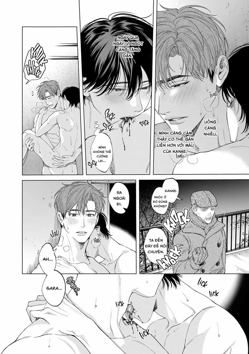 Thạch lựu lấp lánh trong bãi rác 6.5 trang 8