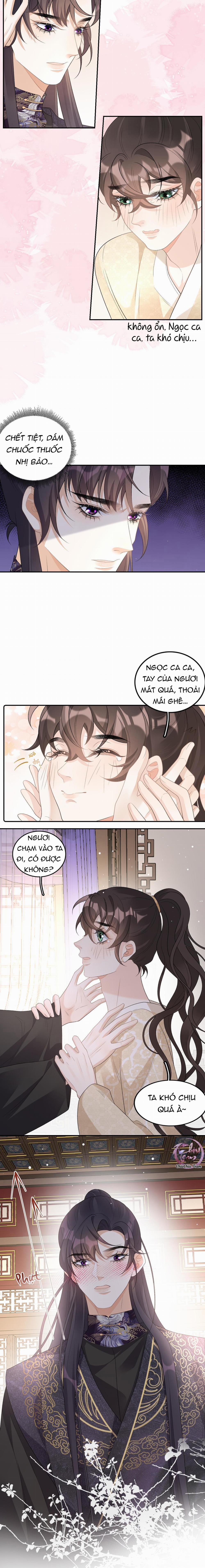 Thái Giám Ngày Ngày Đều Muốn Tránh Xa Hoàng Thượng 26 trang 1