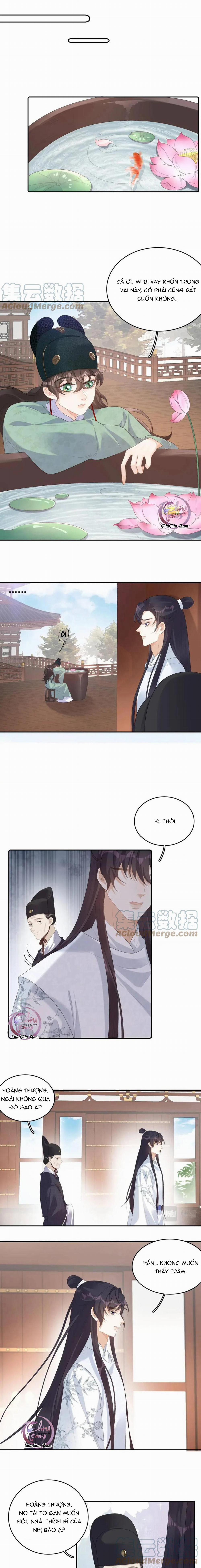 Thái Giám Ngày Ngày Đều Muốn Tránh Xa Hoàng Thượng 38 trang 5