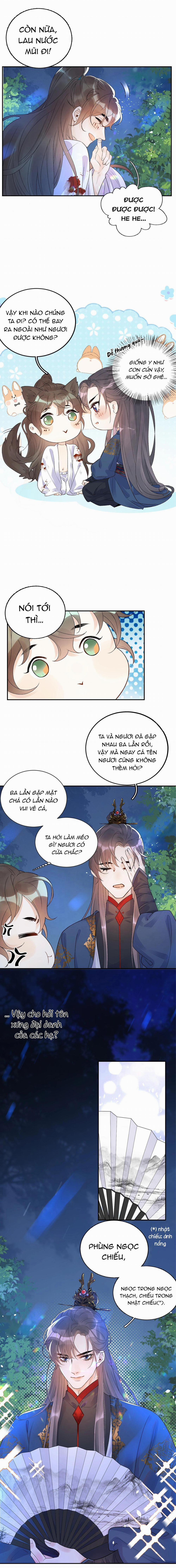 Thái Giám Ngày Ngày Đều Muốn Tránh Xa Hoàng Thượng 7 trang 6