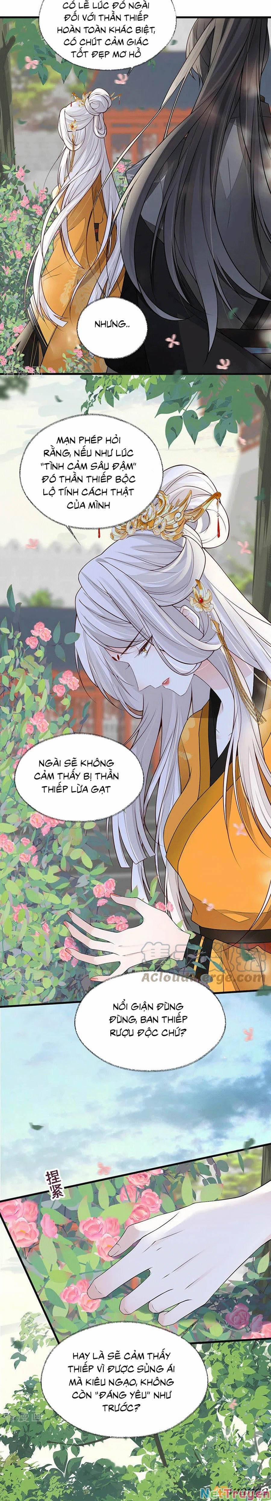 Thái Hậu Quân Hạ Thần 104 trang 6