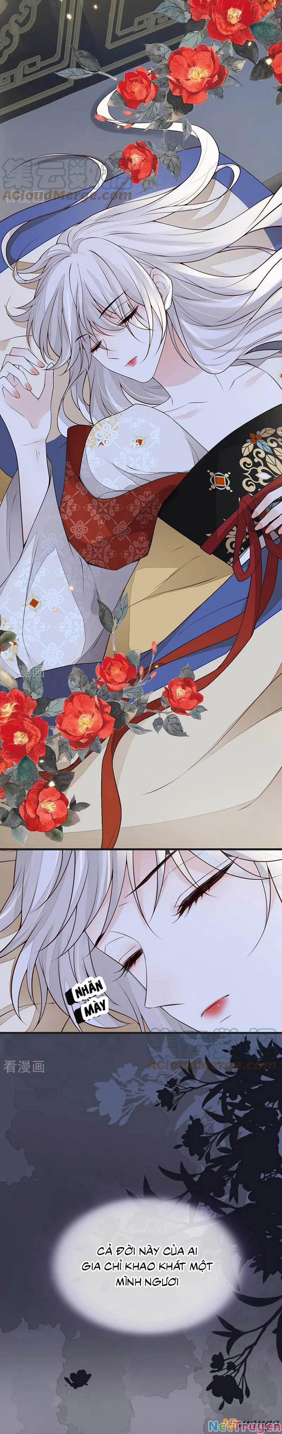 Thái Hậu Quân Hạ Thần 110 trang 3