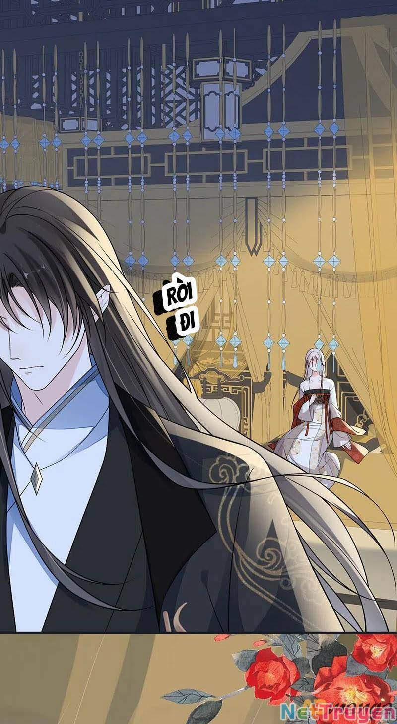 Thái Hậu Quân Hạ Thần 115 trang 11