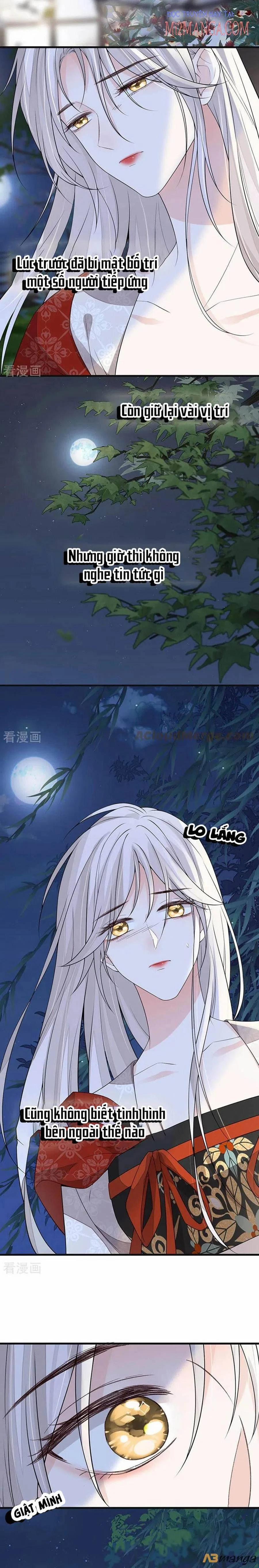 Thái Hậu Quân Hạ Thần 116 trang 1