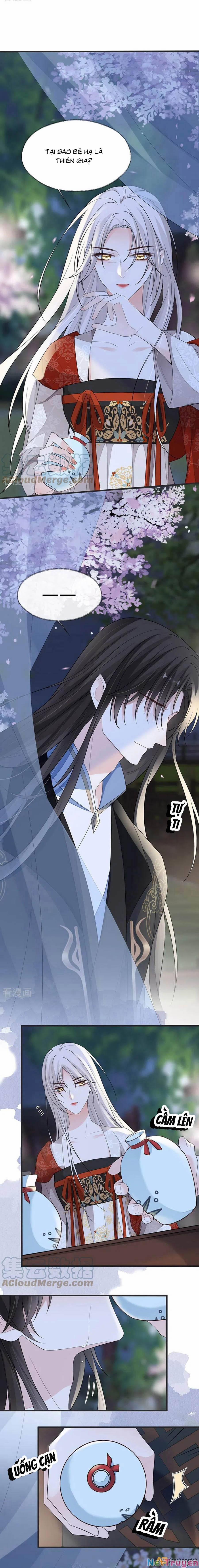 Thái Hậu Quân Hạ Thần 117 trang 3