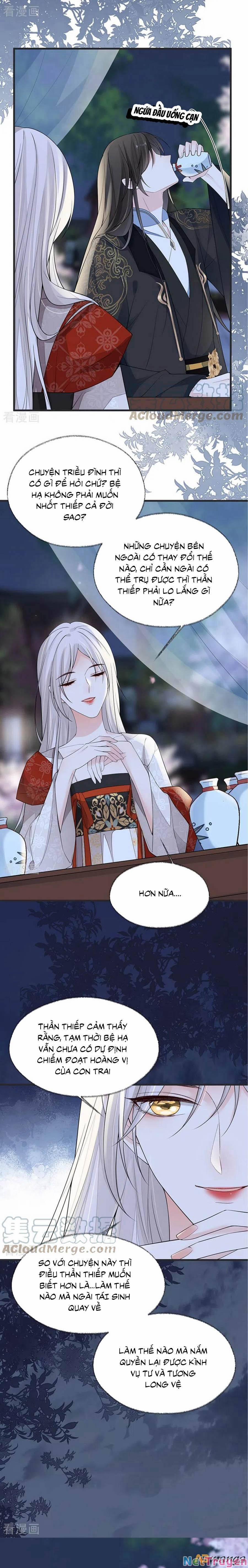 Thái Hậu Quân Hạ Thần 117 trang 5