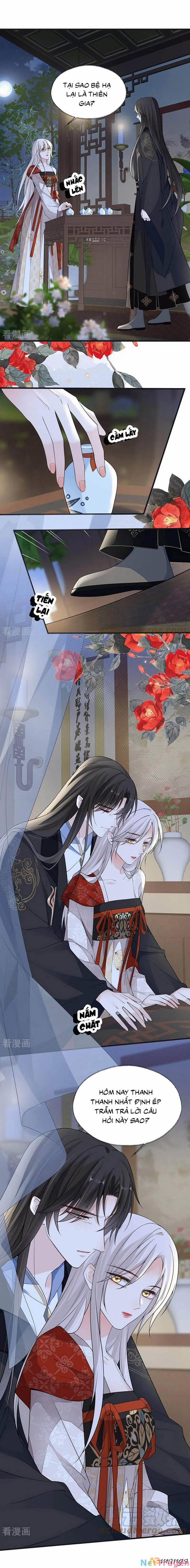 Thái Hậu Quân Hạ Thần 118 trang 0