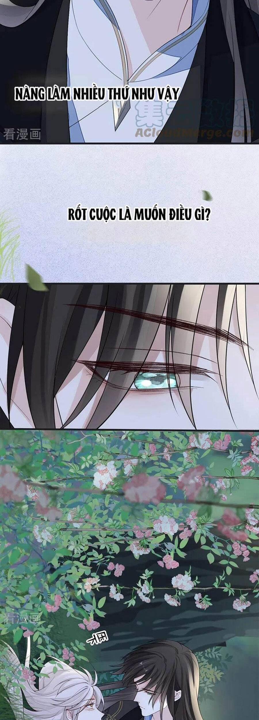 Thái Hậu Quân Hạ Thần 121 trang 5