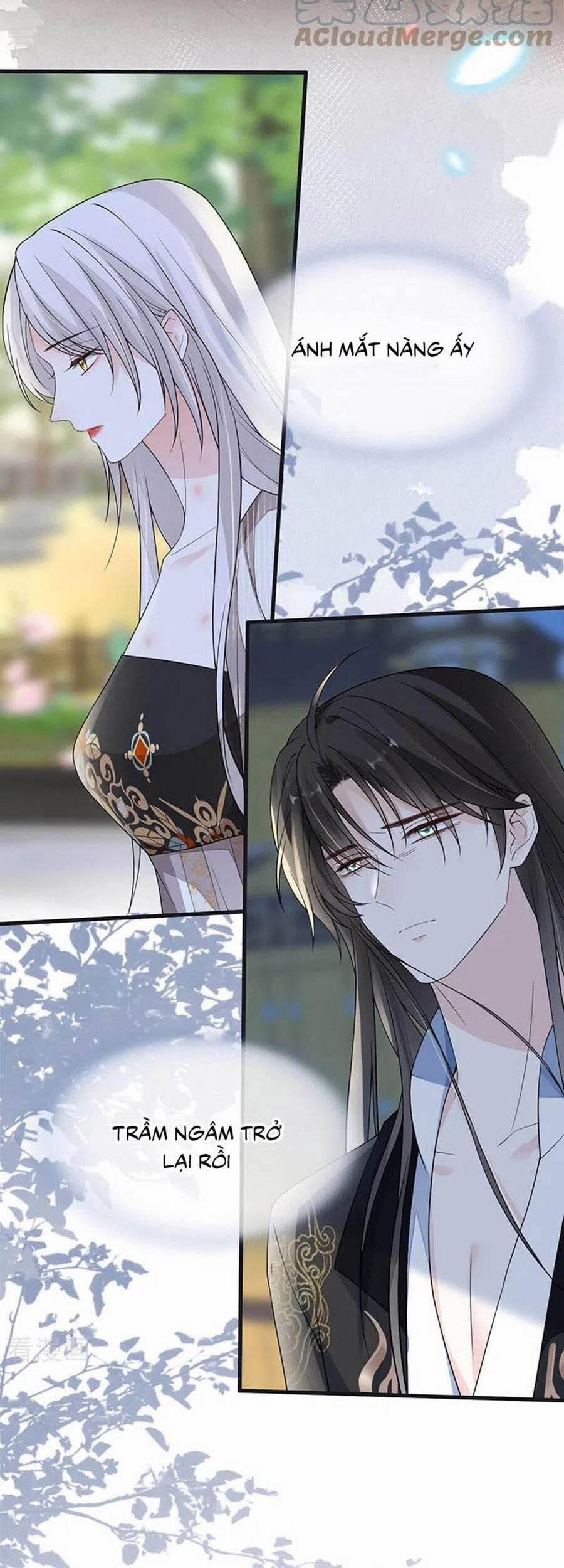 Thái Hậu Quân Hạ Thần 126 trang 10