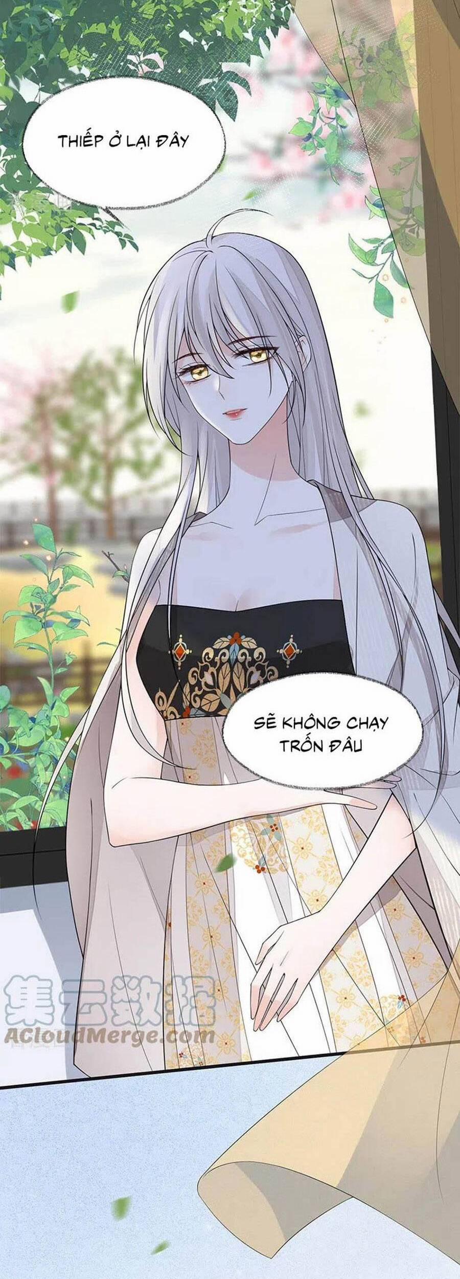 Thái Hậu Quân Hạ Thần 126 trang 23