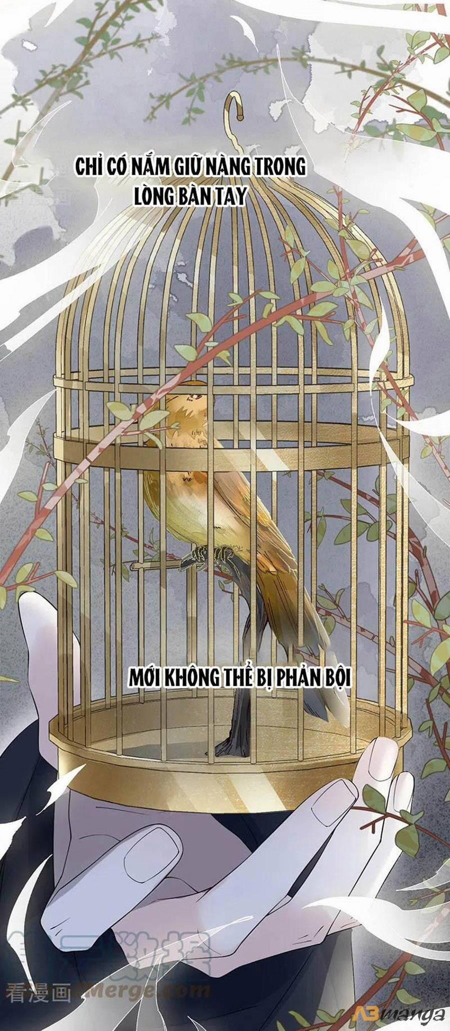 Thái Hậu Quân Hạ Thần 126 trang 5