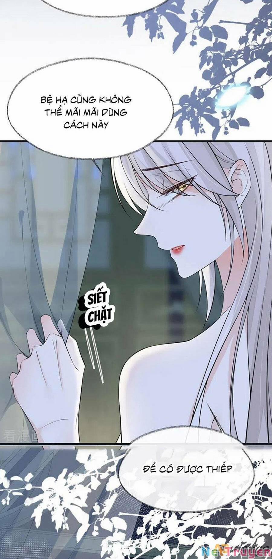 Thái Hậu Quân Hạ Thần 131 trang 11