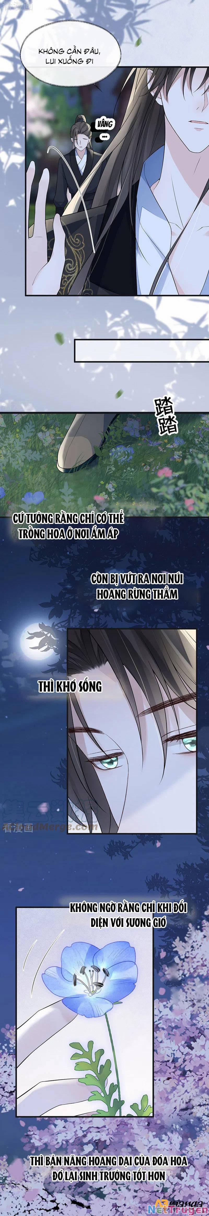 Thái Hậu Quân Hạ Thần 132 trang 12