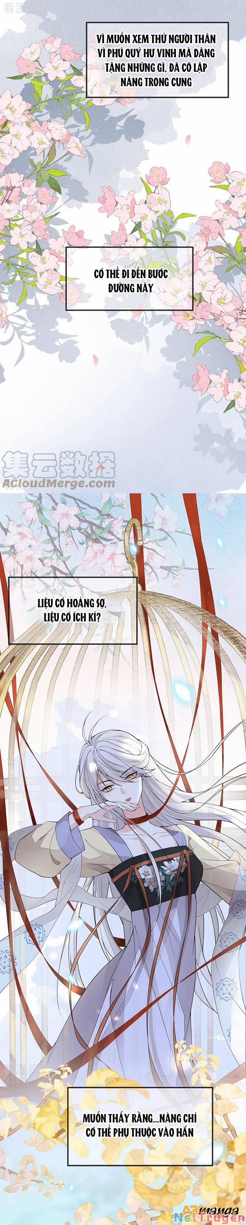 Thái Hậu Quân Hạ Thần 132 trang 3