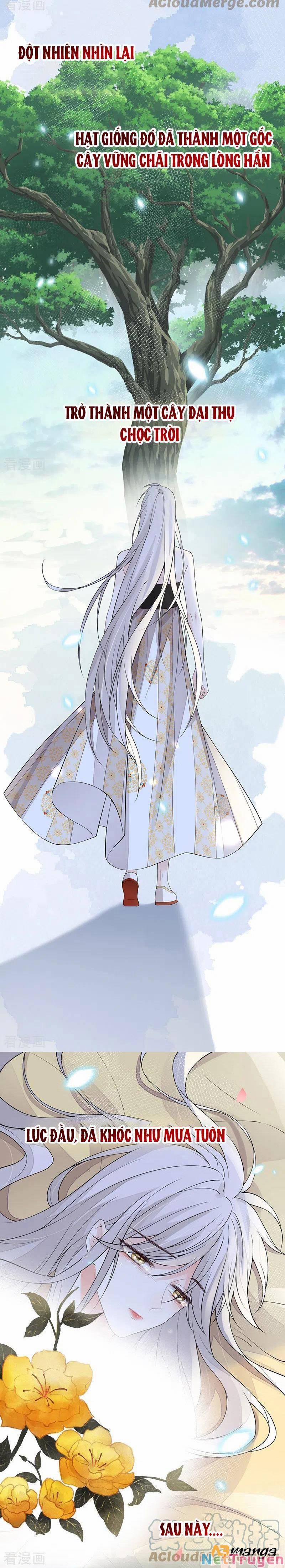 Thái Hậu Quân Hạ Thần 132 trang 7