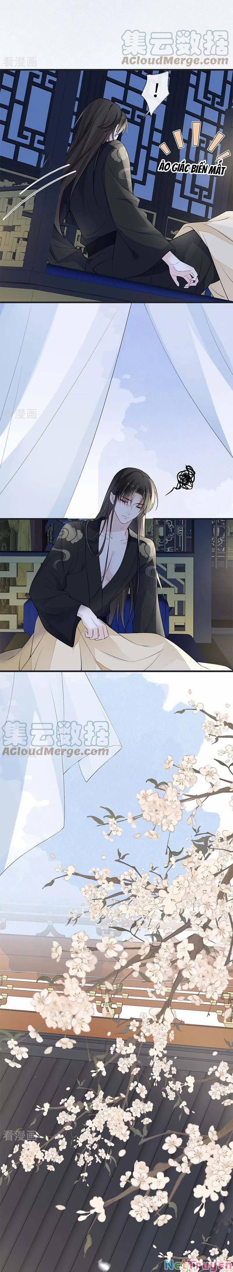 Thái Hậu Quân Hạ Thần 138 trang 2