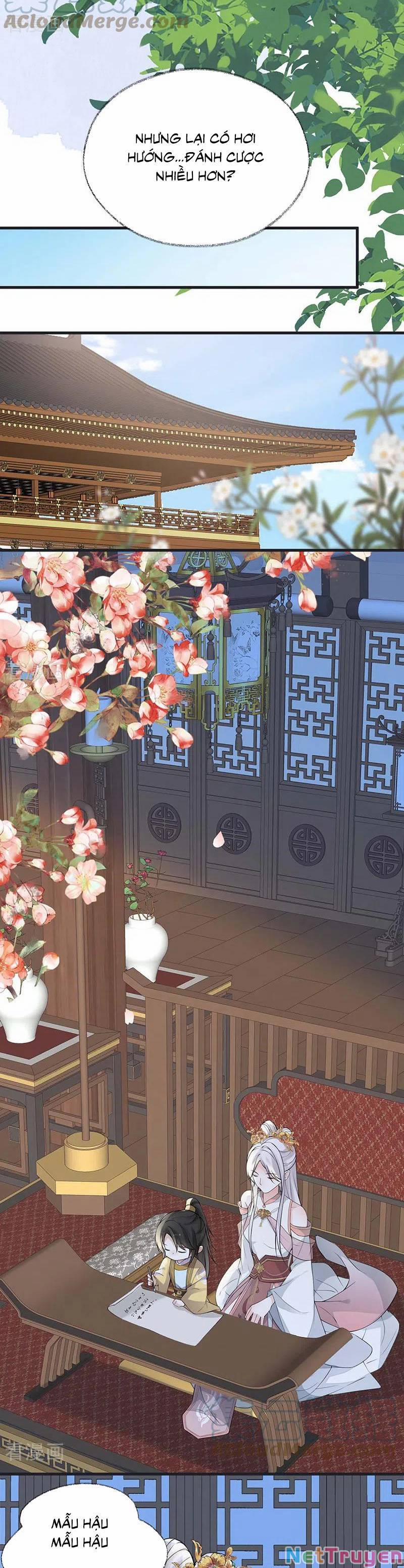 Thái Hậu Quân Hạ Thần 138 trang 6