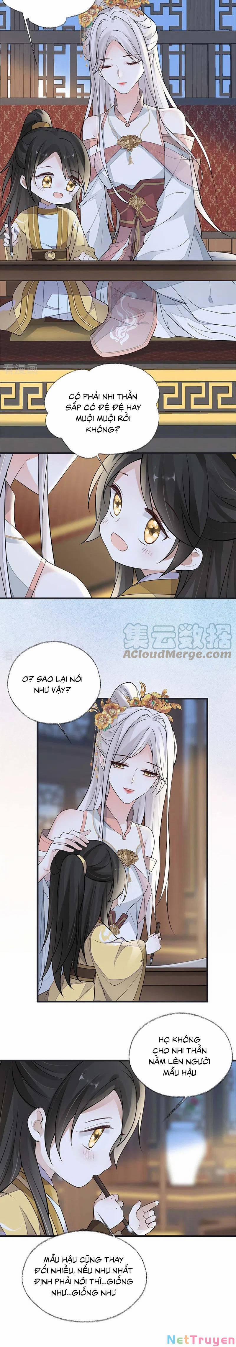 Thái Hậu Quân Hạ Thần 138 trang 7