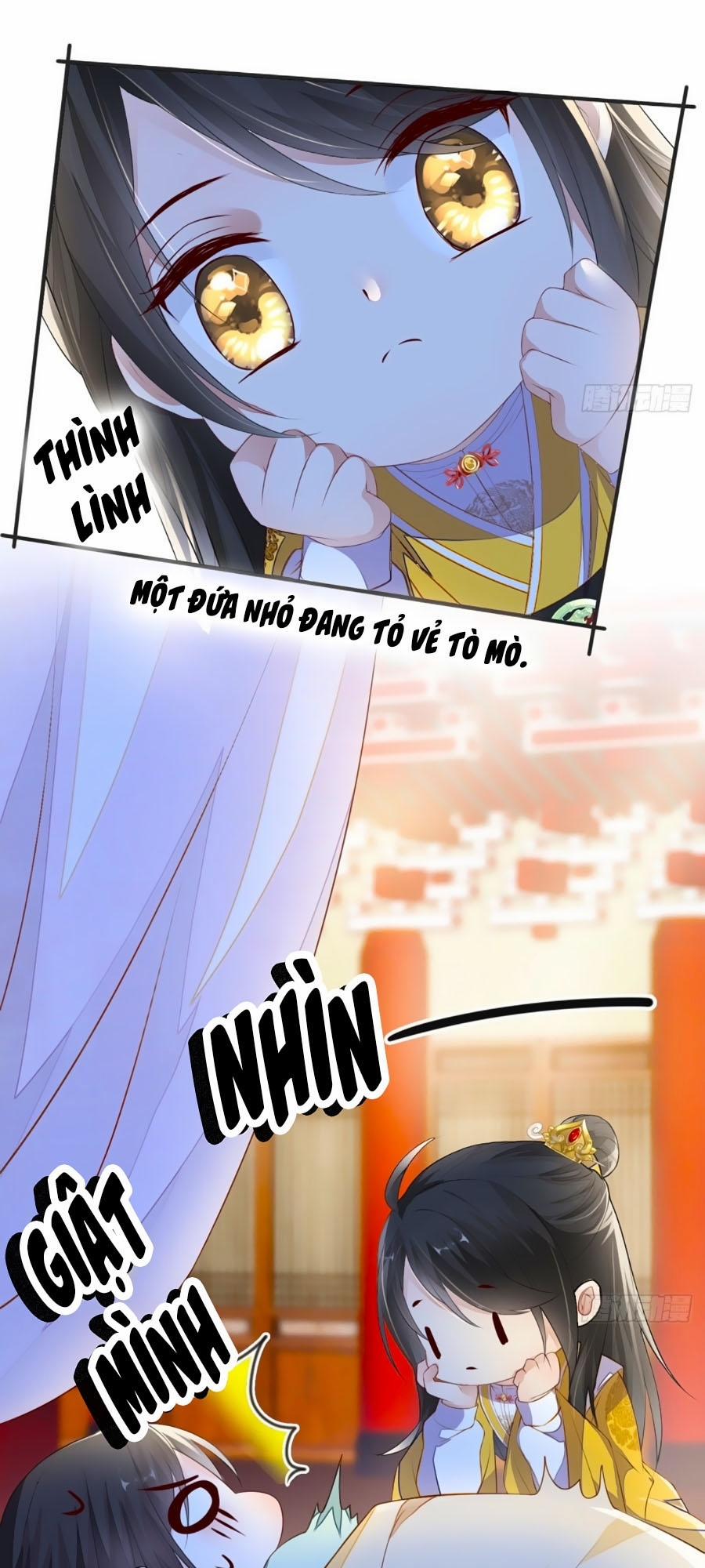 Thái Hậu Quân Hạ Thần 14 trang 20