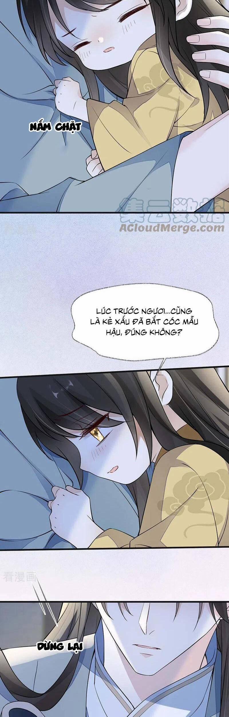 Thái Hậu Quân Hạ Thần 142 trang 17