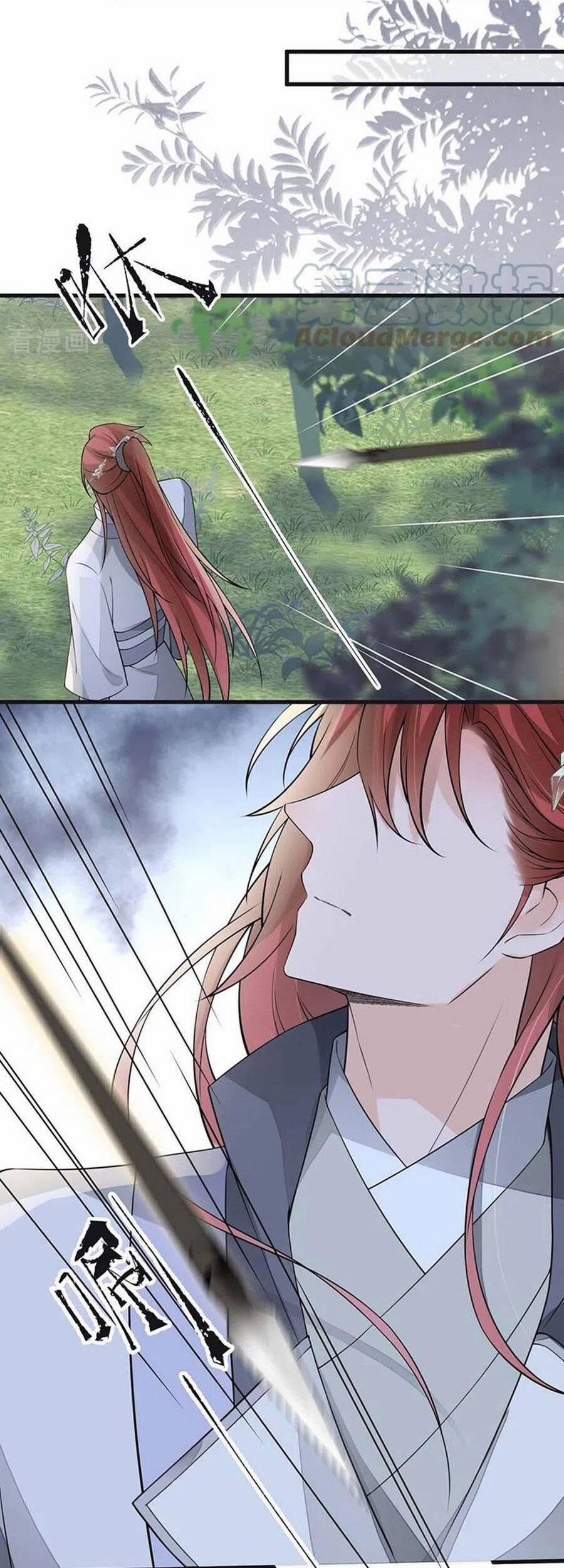 Thái Hậu Quân Hạ Thần 146 trang 24