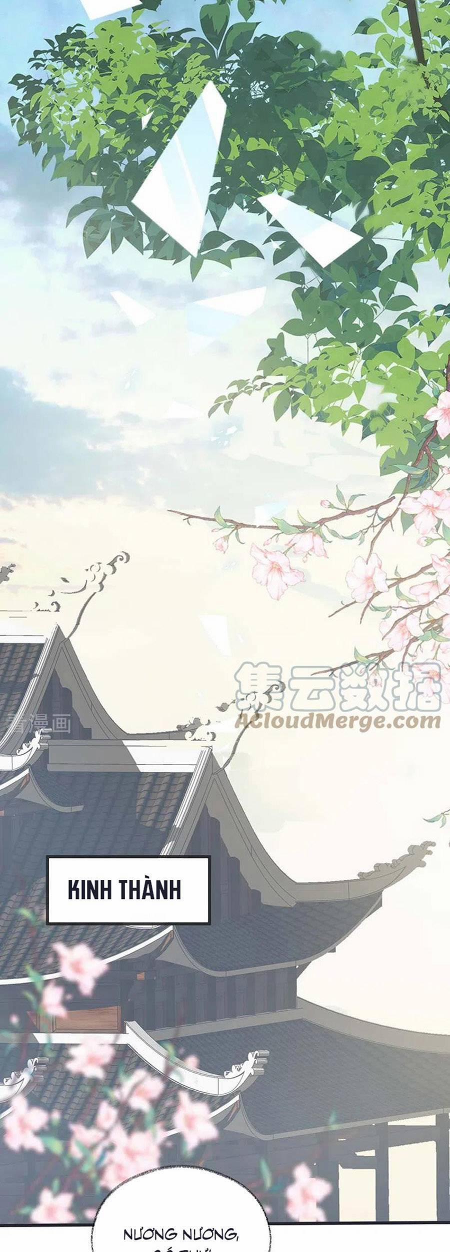 Thái Hậu Quân Hạ Thần 147 trang 25