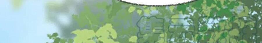 Thái Hậu Quân Hạ Thần 148 trang 19