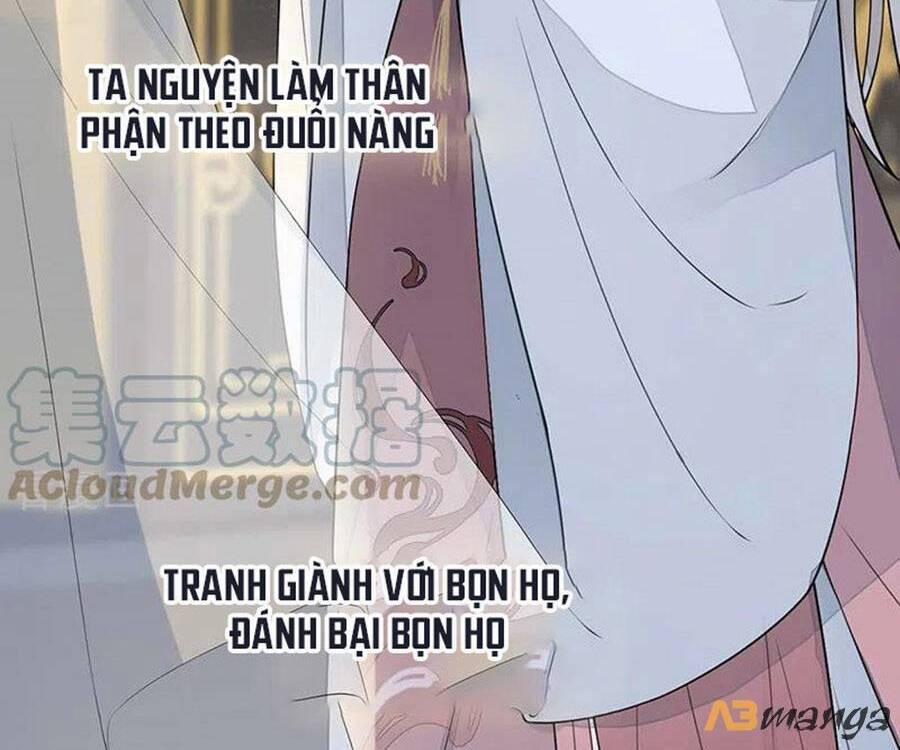 Thái Hậu Quân Hạ Thần 148 trang 2