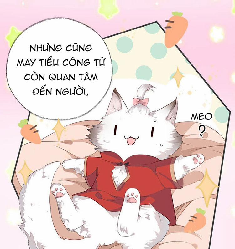 Thái Hậu Quân Hạ Thần 25 trang 22