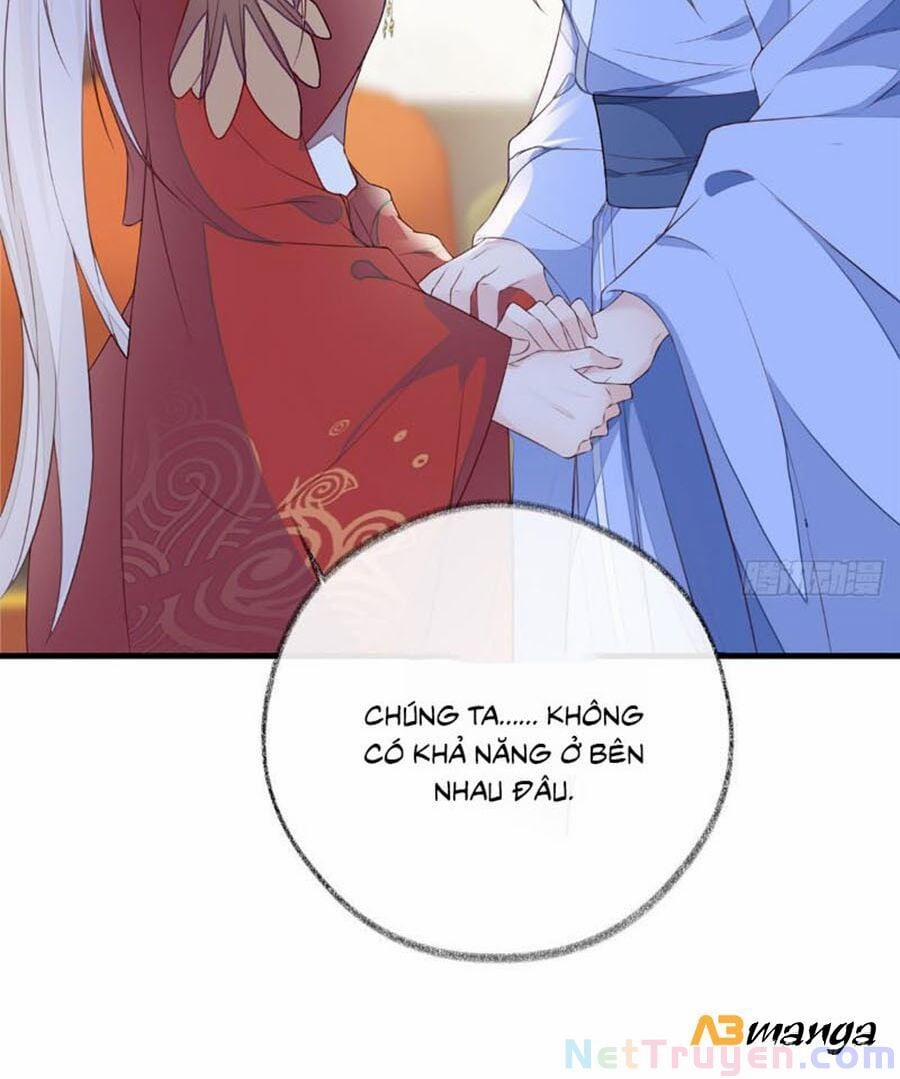 Thái Hậu Quân Hạ Thần 28 trang 15