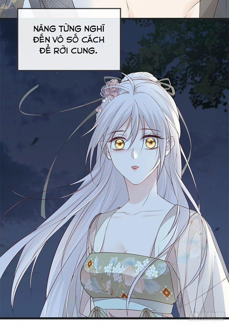 Thái Hậu Quân Hạ Thần 39 trang 5