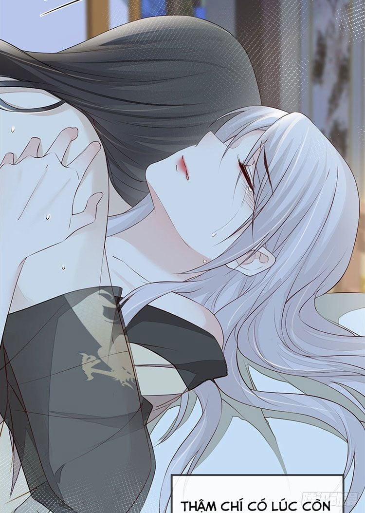 Thái Hậu Quân Hạ Thần 41 trang 19