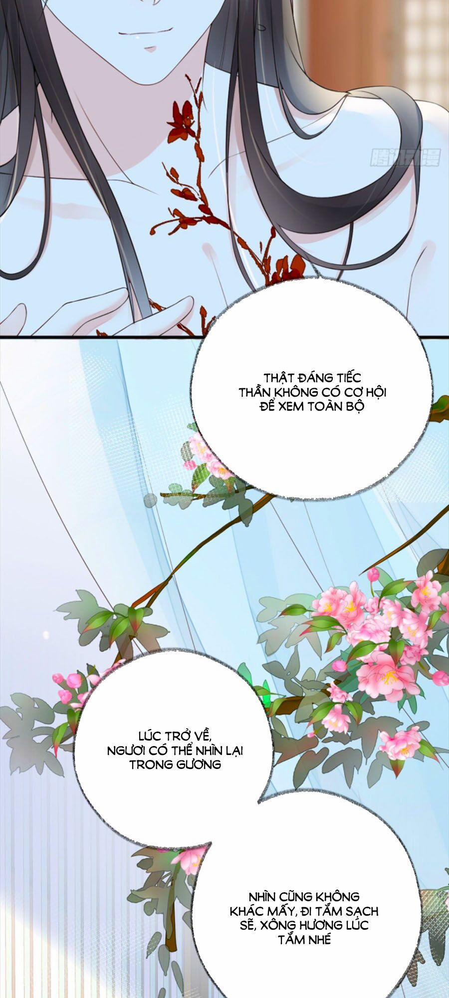 Thái Hậu Quân Hạ Thần 47 trang 11