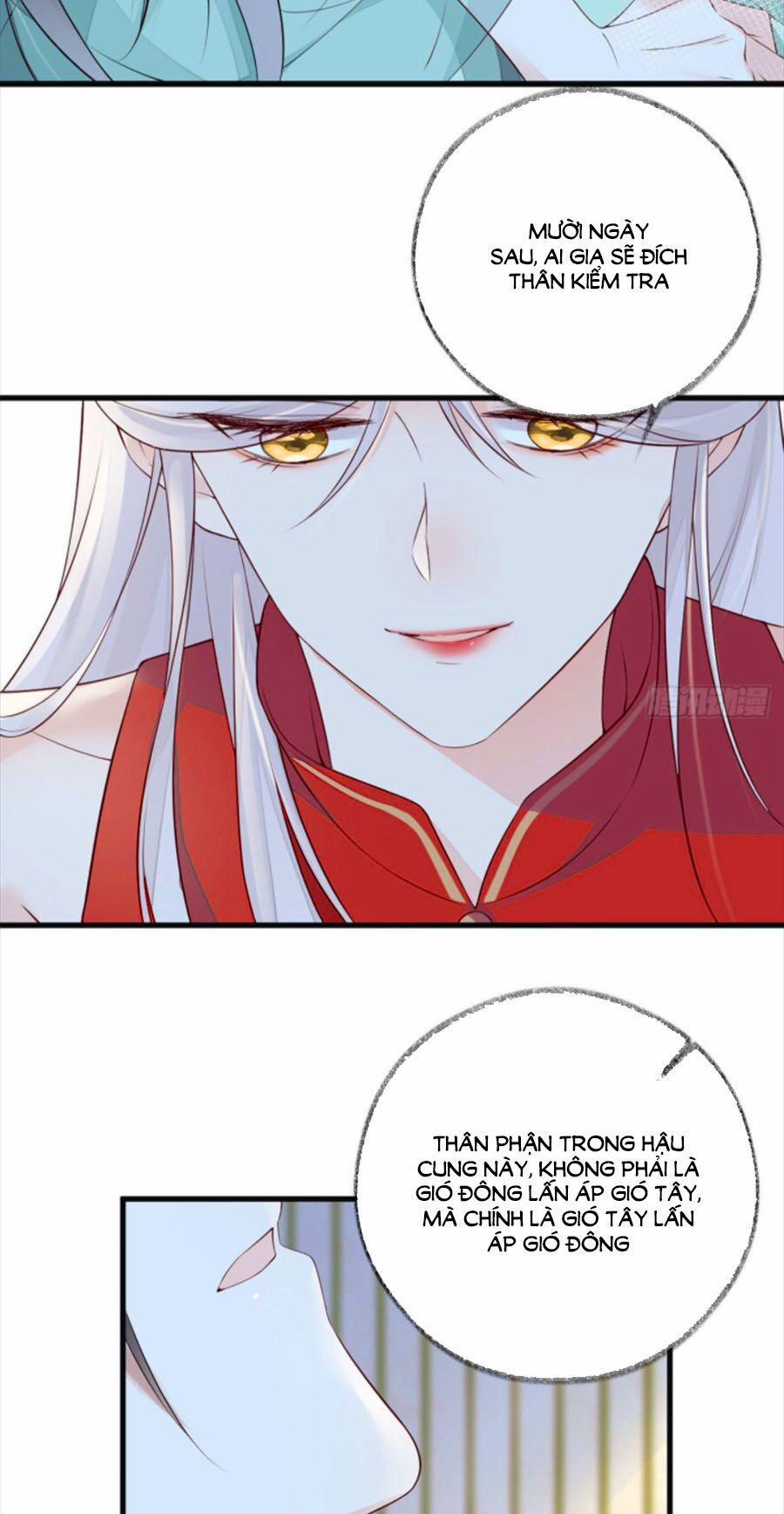 Thái Hậu Quân Hạ Thần 47 trang 13