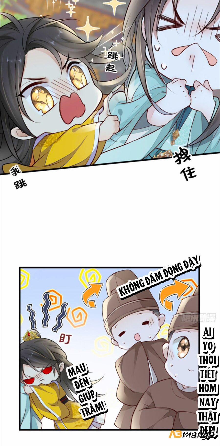 Thái Hậu Quân Hạ Thần 47 trang 24