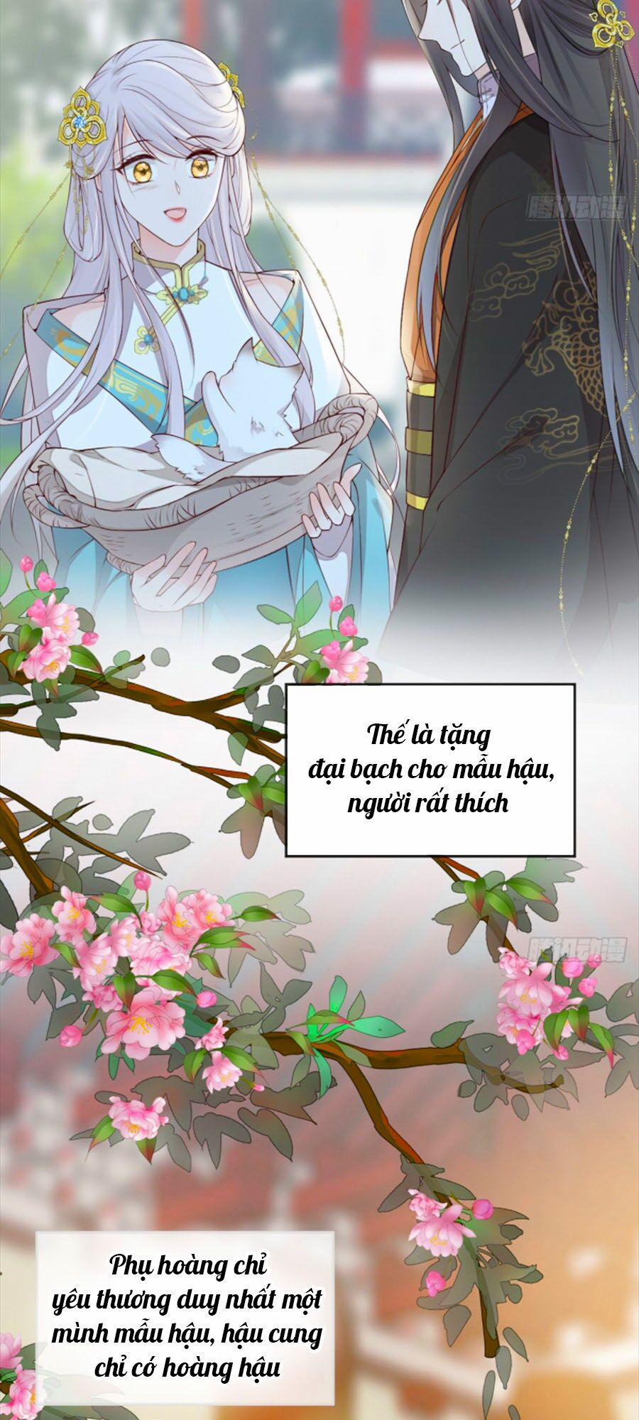 Thái Hậu Quân Hạ Thần 49 trang 11