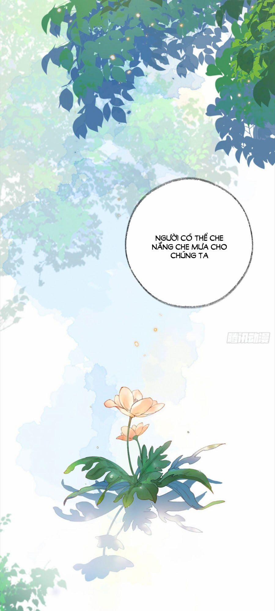 Thái Hậu Quân Hạ Thần 49 trang 2