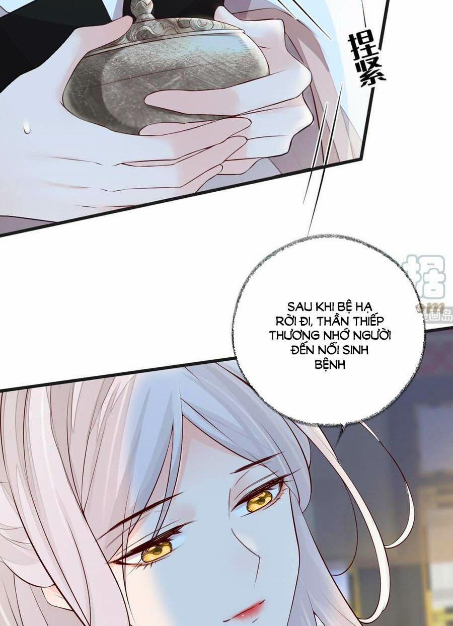 Thái Hậu Quân Hạ Thần 52 trang 14