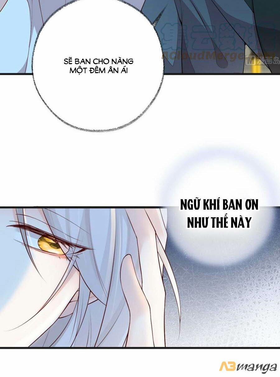 Thái Hậu Quân Hạ Thần 52 trang 20