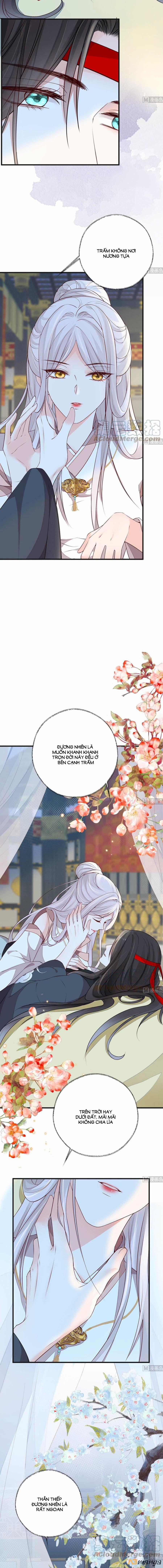 Thái Hậu Quân Hạ Thần 53 trang 1